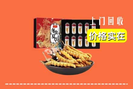叙永县回收虫草